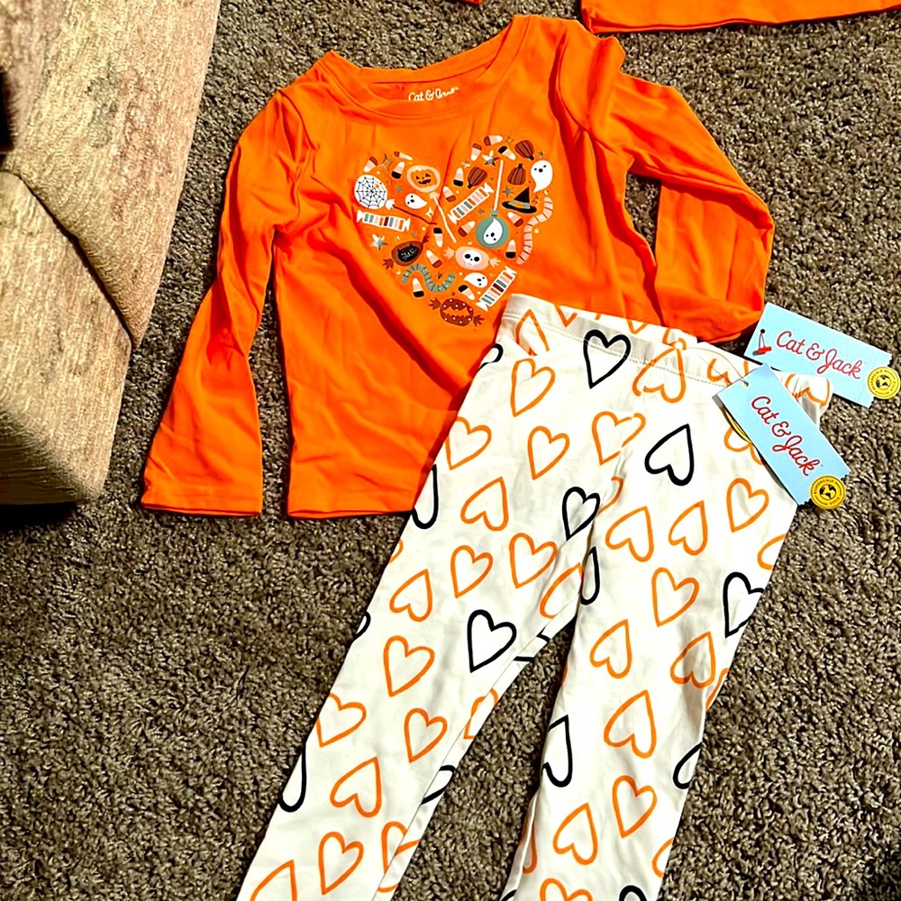 Cat and Jack outfit. NWT 3T